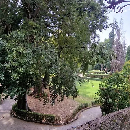 Apartament Vicolo D'este *